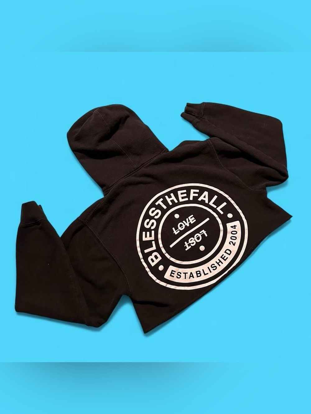 Blessthefall Cropped Hoodie Band Merch Metalcore Size Small